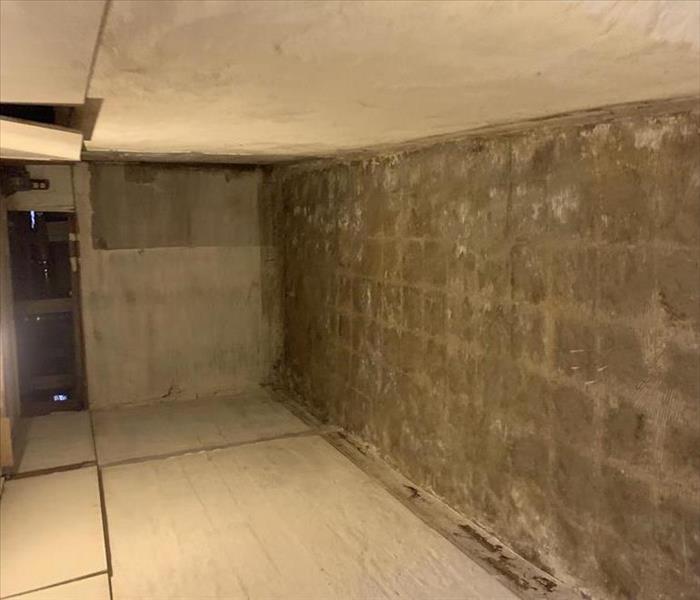 photo of basement that was restored after a sewage flood.