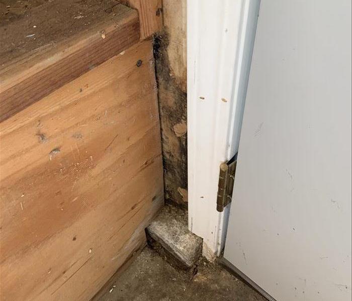 water heater stand possessing mold