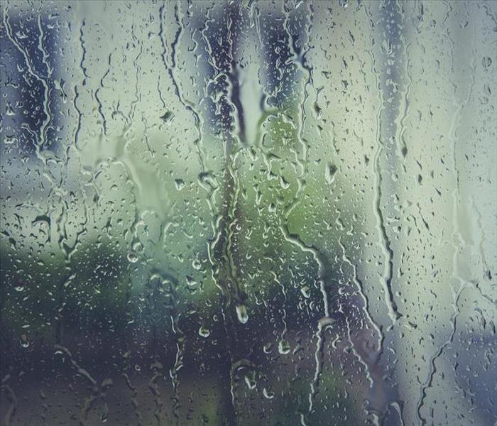 Rain on a window pane